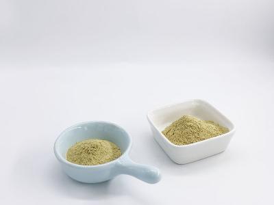 China Green Tea Extract 95% Tea Polyphenol for sale