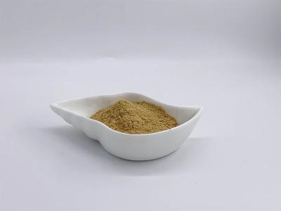 China Epimedium Breviconum Extract 10% for sale