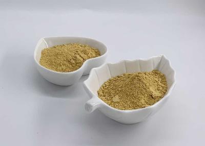 China Ethyl Acetate extracted Silymarin UV 80% from Milk Thistle for sale