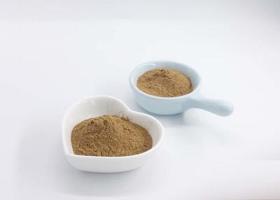 China CP2015 Grade Ginkgo Biloba Extract Powder With Lactone 6% for sale