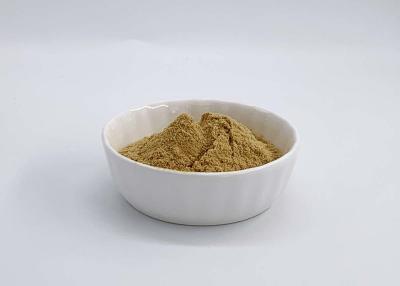 China Chaga Mushroom Polysaccharides with 2% Triterpene for sale