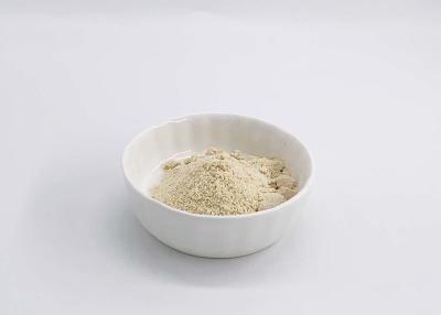 China Soybeans Phosphatidylserine 20% PS Powder for Brain Memory for sale