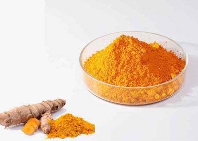 China USP40 Curcumin Powder 95% curcuminoid as Natural Yellow Pigment Powder for sale