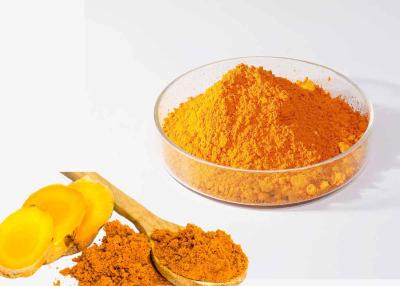 China Food Grade Yellow Pigment Curcuma longa Root Extract Curcumin Powder for sale