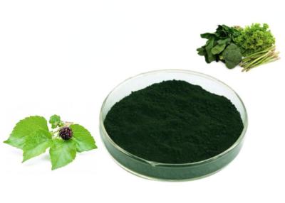 China Iron Chlorophyllin Sodium Salt for Iron Supplement Foods for sale