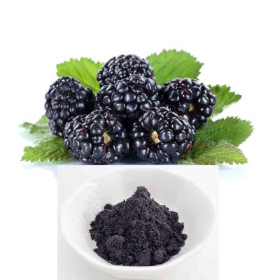 China Maulbeerauszug Pulver mit 25% Anthocyanidin oder 35% Anthocyanin zu verkaufen