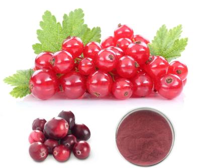 China 50% Proanthocyanidins by UV Method extracted from Cranberry for sale