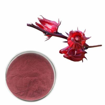 China Hibiscus Roselle Flower Extract Powder mit 10% Anthocyanidin zu verkaufen