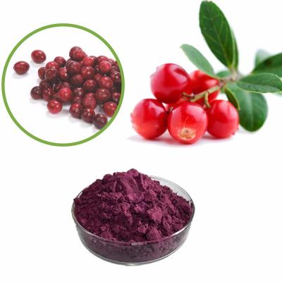 China 10:1 Lingonberry-Frucht-Auszug-Pulver, zum des Sehvermögens zu verbessern zu verkaufen