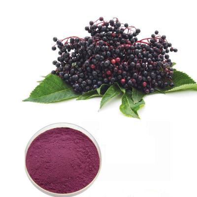 China Black Elderberry Extract With 25% Anthocyanidins for Immune Support for sale