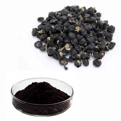 China 25% Anthocyanidins From Black Goji Wolfberry Extract Powder As Antioxidant for sale