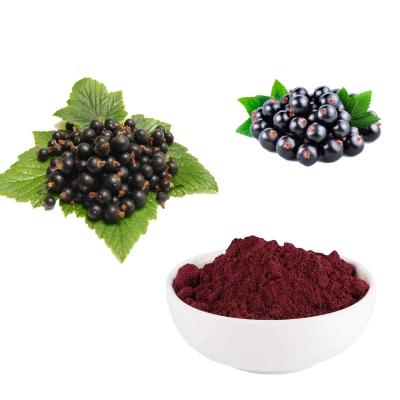 China 25% Anthocyanidins extract Powder from Black Currant Fresh Fruit for sale