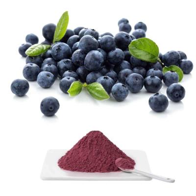 China European Bilberry Fruit Extract Powder With 25% Anthocyanidins By UV for sale