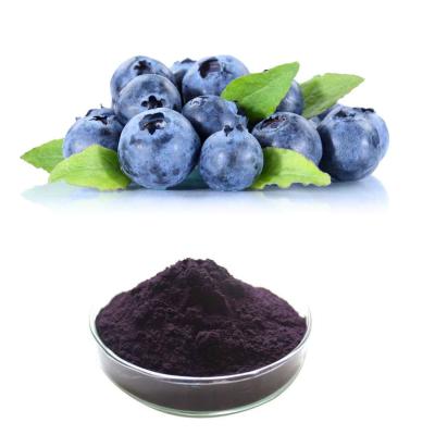 China Blaubeerfrucht-Auszug-Pulver mit 25% Anthocyanin, zum von Augen-Gesundheit zu verbessern zu verkaufen