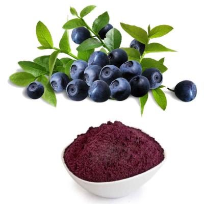 China Anthocyanidin extrahieren Pulver von der Heidelbeerfrucht mit 1-36% Anthocyanin zu verkaufen