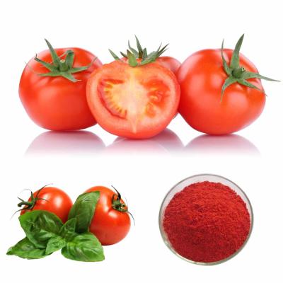 China Tomato Extract Powder as Antioxidant for sale