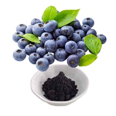 China Bilberry Extract Anthocyanidins for sale