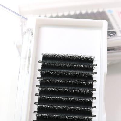 China Natural Long Yy Shaped Eyelash Extensions Weaving Effect Synthetic Mink False Eyelashes Real Mink Eyelash Extension for sale