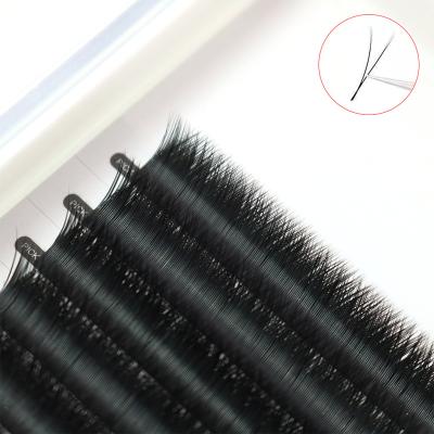 China Customized Long Silk Extensions Natural Matte Black Professional Private Label Clear Plastic Tweezers Case Eyelash Eyelash Extensions for sale