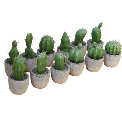 China HOT Selling Vintage Artificial Plants Living Room Other Decorative Flowers and Plants Artificial Cactus Succulent Plant with Pots for sale