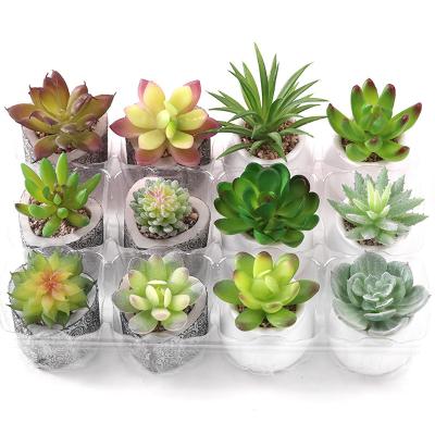 China Hot Selling Vintage 12 Group Wholesale Mini Plastic Succulents Artificial Bonsai Plant for sale