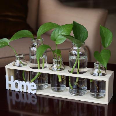 China 5pcs Minimalist Plant Letter Glass Bottle Hydroponic Glass Vase for Flower or Water Plant with Wooden Stand Home Decoration for sale