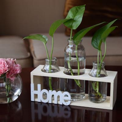 China Minimalist 3pcs Bottle Living Room Decoration Aquatic Plants Spread Stands Wooden Shelf Glass Bottle Vase for sale