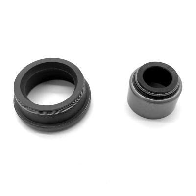 China Oil resistance valve resistance to high pressure HNBR silicone seal oil double EPDM lip seal valve stem seals for sale