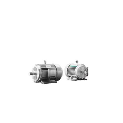 China Low Voltage Totally Enclosed High Temperature Motor Slip Ring Motor Three Phase Insulated Motor YE3-355M2-8P-160KW (216HP) for sale