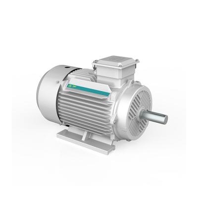 China High temperature IEC60034/IE1/IE2/IE3/IE4 IE3 copper core industrial motor asynchronous AC motor YE3-180M-2P-22KW (30HP) for sale