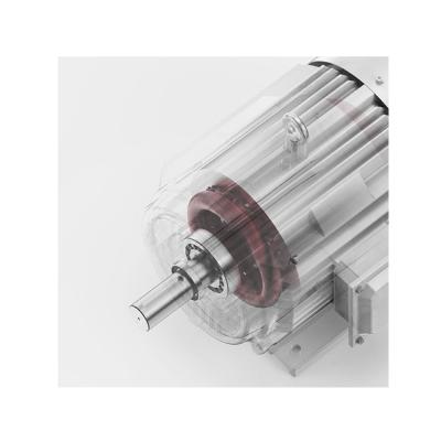 China YE3-315L2-8P-110KW (150HP) Totally Enclosed Electric Motor Motor High Efficiency Three Phase Asynchronous Motor for sale