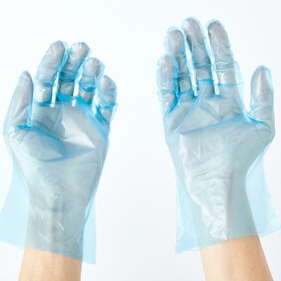 China Waterproof Blue Disposable Pe Gloves Plastic Pe Gloves for sale