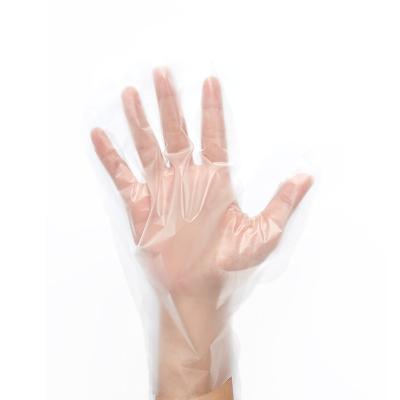 China HDPE PE Waterproof Plastic Kitchen Gloves Disposable Food Prep Kitchen Household PE GLOVES for sale