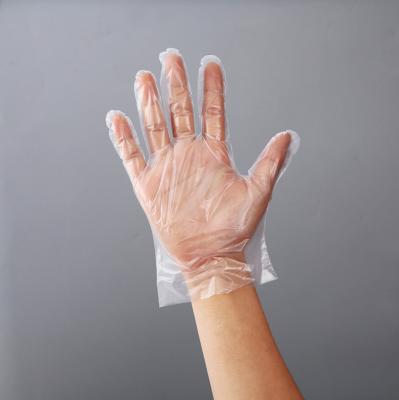 China Disposable Waterproof HDPE Pe Food Prep Food Household Household Kitchen Plastic Gloves for sale