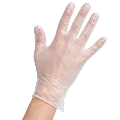 China Use for Disposable Vinyl Kitchen Glove Powder Free Clear Vinyl Gloves For Food for sale