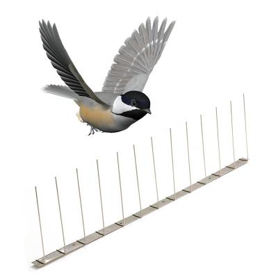 China GKSS- 1:50 Cm Stainless Steel Disposable Bird Spike Anti Bird Repellent Spike for sale