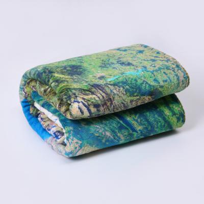 China PORTABLE Polyester Sherpa Fleece Throw Blanket 50x60