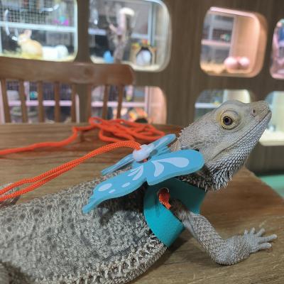 China New Design Viable Adjustable Lizard Reptile Amazon Bearded Dragon Small Pet Lizard Harness Leash for sale