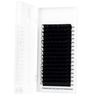 China Natural Soft Private Volume Lashes Individual Eyelash Silk Eyelash Extensions for sale