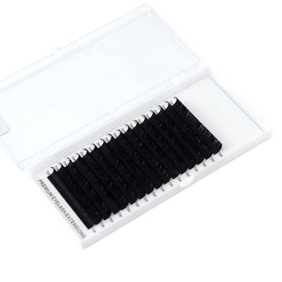 China High Quality Dark Black Russian Lashes Volume Trays Eyelash Extensions Natural Super Soft Long 0.03 0.05 0.07 for sale