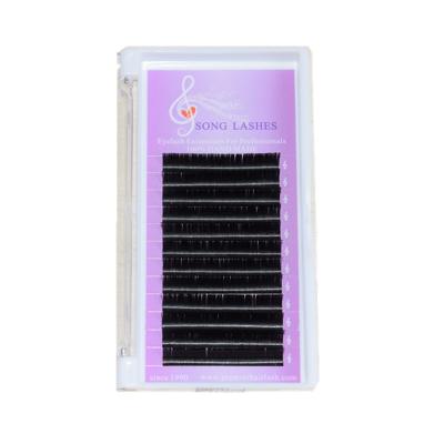 China Make Volume Fans Japan PBT Private Label Ellipse Flat Easily Lashes Eyelash Extension for sale