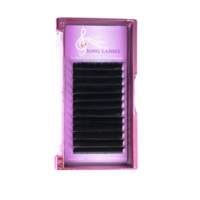 China Three different lengths mixed in one line individual wholesale private label lashes eyelash extension for sale