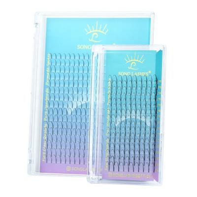 China Private Label Long Natural Song Whips Different Lash Extension Spikes Wicks Premade Fans Wispy for sale