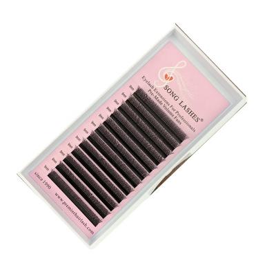 China YY lashes ready to ship newcomer song whips YY to shape lashes eyelash extensions YY for sale