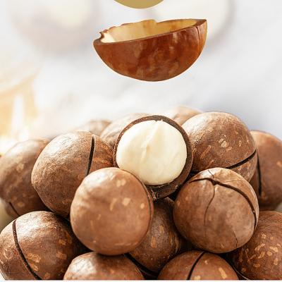 China Good Price Dry Hazel In Shell For Healthy Snacks Hazelnut OEM Service for sale