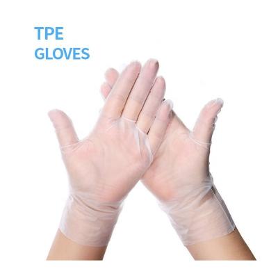 China Hair Dye Free Packed Single Barber Elastic Tpe Glove Poly Powder Glove Stretch Band Kitchen Gloves Light Blue Plastic Glove Sale for sale