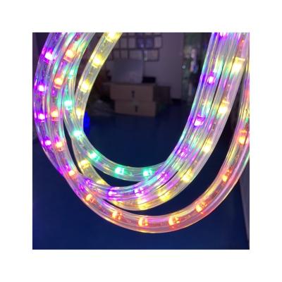 China 360 Degree Clear PVC Theme Park LED Rope Light Horizontal COB With UV Stable LED Rope Light for sale