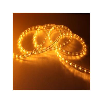 China High Quality Outdoor Waterproof Theme Park Rope Light Pool Rope Light for sale