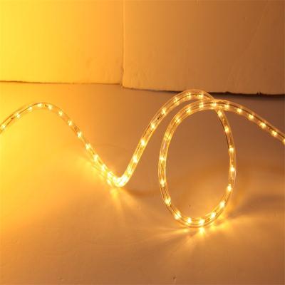 China Theme Park Vacation Time Round Strips 2wire 13mm Dimmable Color Changing Rope Light Led With CE Rohs for sale