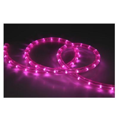 China Waterproof Garden Holiday Decoration 100m LED Rope Light For Party Decorative Rope Light for sale